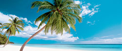 Crociera Caraibi orientali